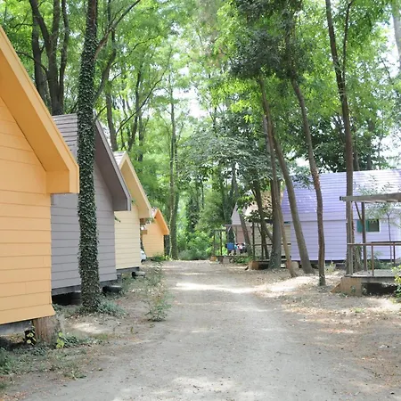 Paradis Bellerive Montfrin