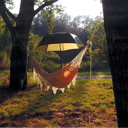 Paradis Bellerive 3*