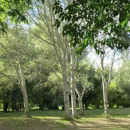 캠프장 Paradis Bellerive Montfrin