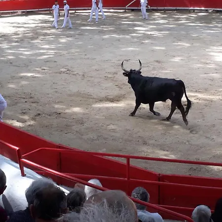 Kemp Paradis Bellerive 3*