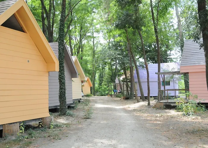 Paradis Bellerive Montfrin