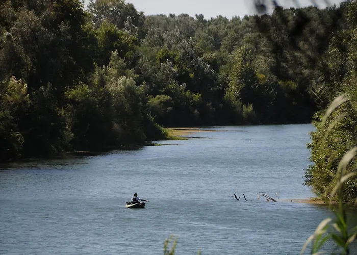 Κάμπινγκ Paradis Bellerive