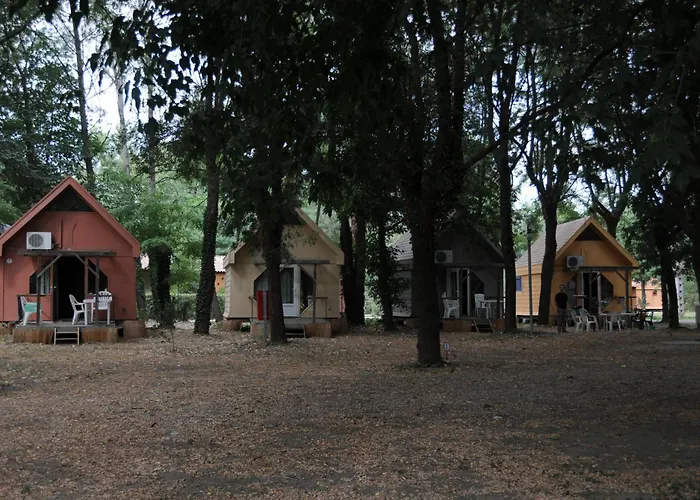 Paradis Bellerive Κάμπινγκ