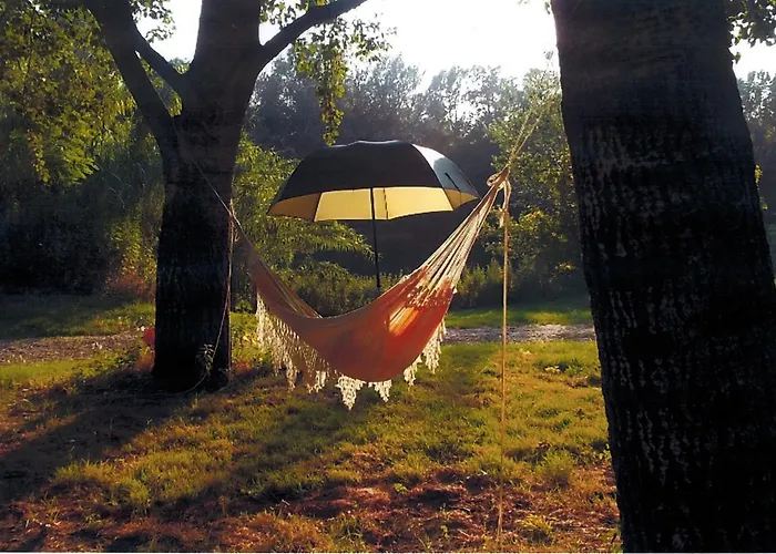 Paradis Bellerive 3*