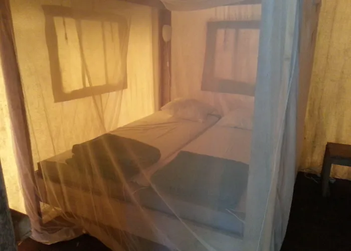 Paradis Bellerive 3* Montfrin