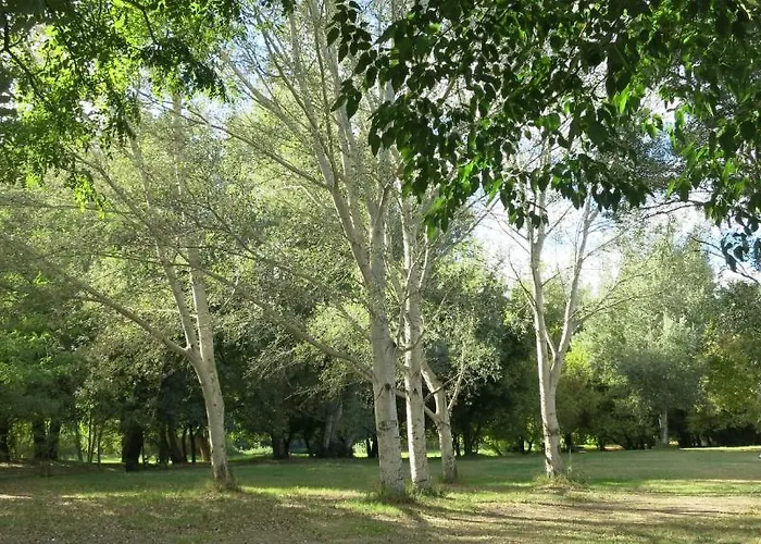 Κάμπινγκ Paradis Bellerive Montfrin