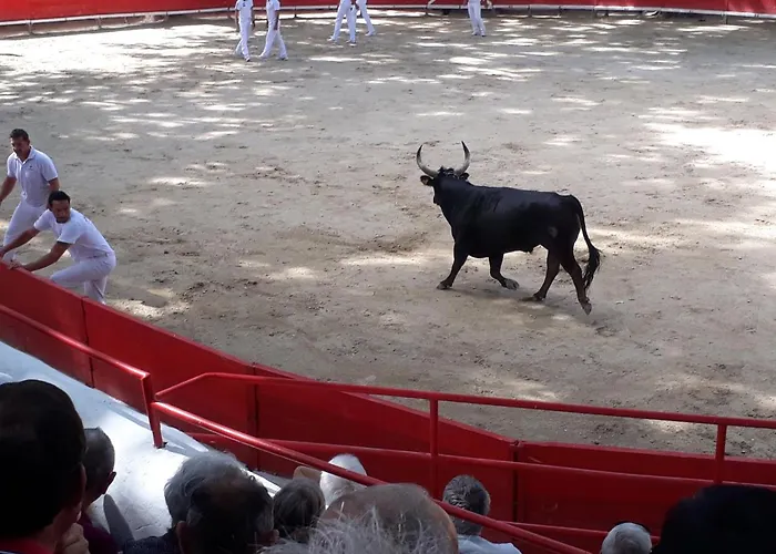 Κάμπινγκ Paradis Bellerive 3*